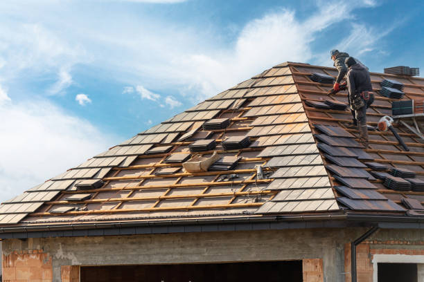 Best Roof Insulation Installation  in Du Quoin, IL