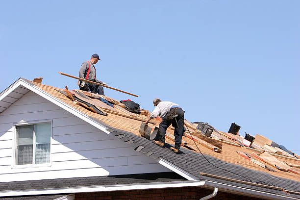 Best Rubber Roofing (EPDM, TPO)  in Du Quoin, IL